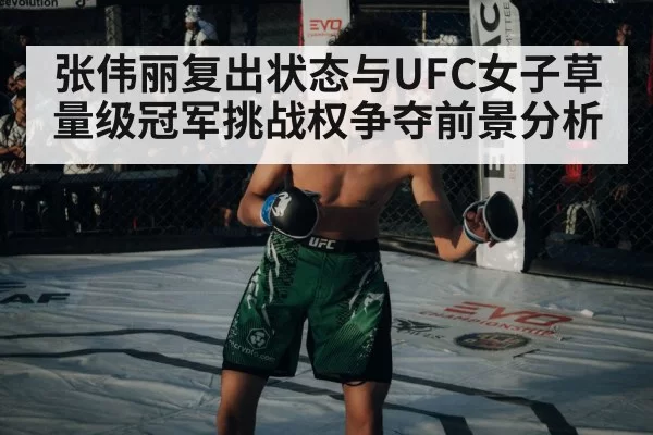 ufc octagon cage fight